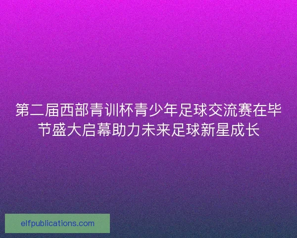 第二届西部青训杯青少年足球交流赛在毕节盛大启幕助力未来足球新星成长