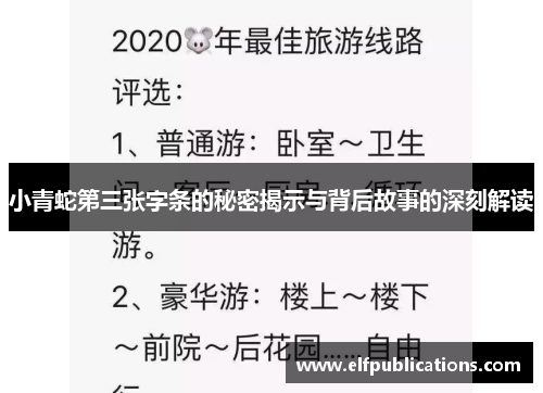 小青蛇第三张字条的秘密揭示与背后故事的深刻解读